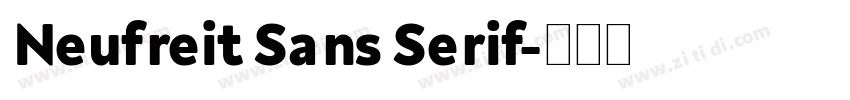 Neufreit Sans Serif字体转换